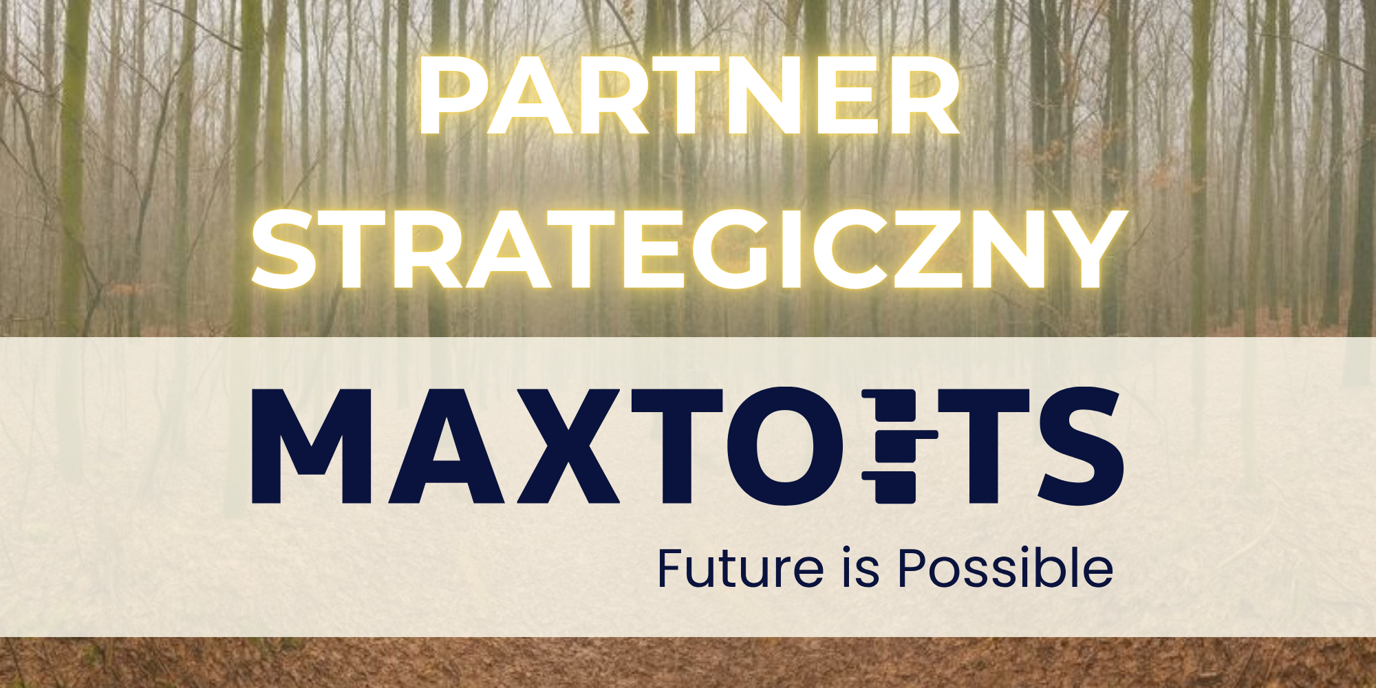 maxtoits logo